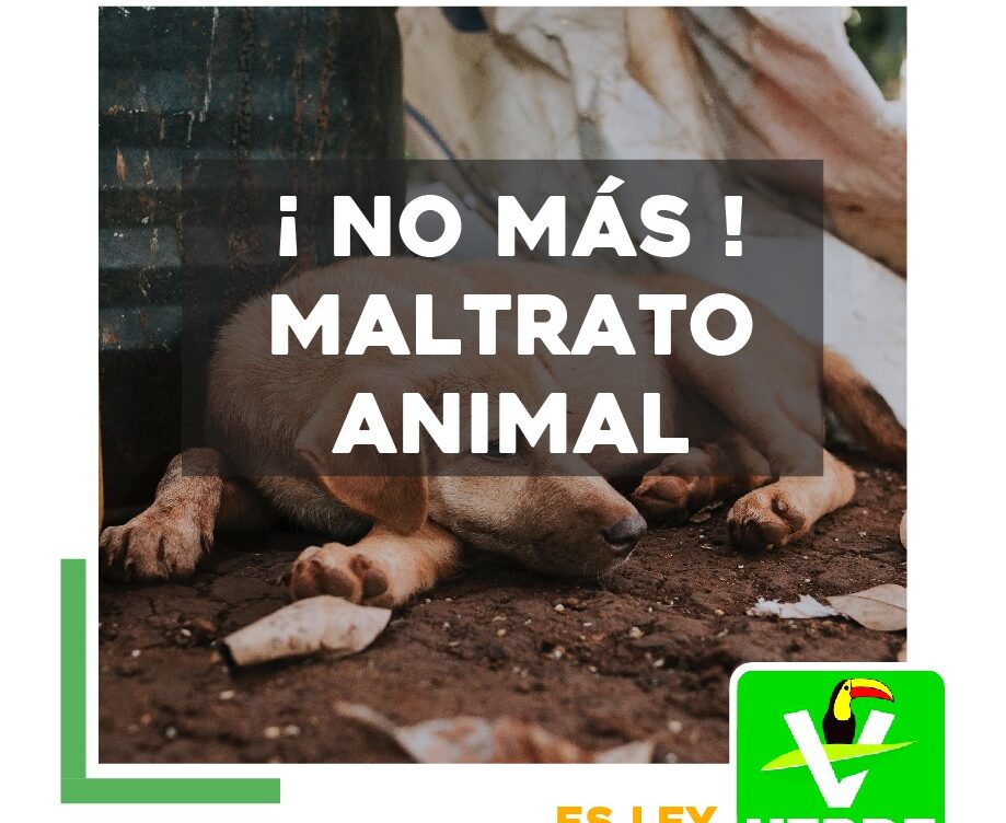 PARTIDO VERDE APRUEBA LEYES DE PROTECCIÓN ANIMAL PARA GARANTIZAR LA SEGURIDAD DE NUESTRAS MASCOTAS
