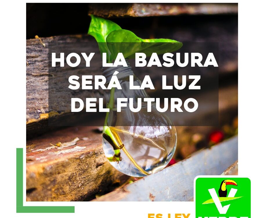 LAS ENERGÍAS RENOVABLES SON EL PRESENTE Y EL FUTURO GRACIAS A LAS REFORMAS DEL PARTIDO VERDE