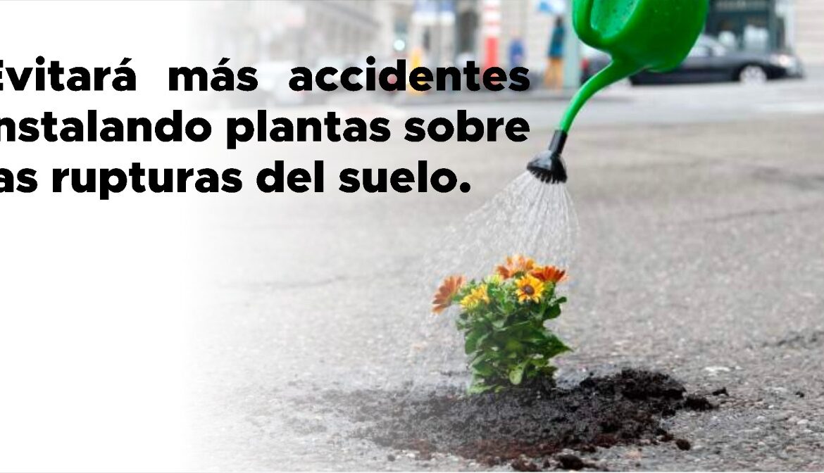 El Partido Verde crea campaña para intervenir los baches de la Ciudad de México