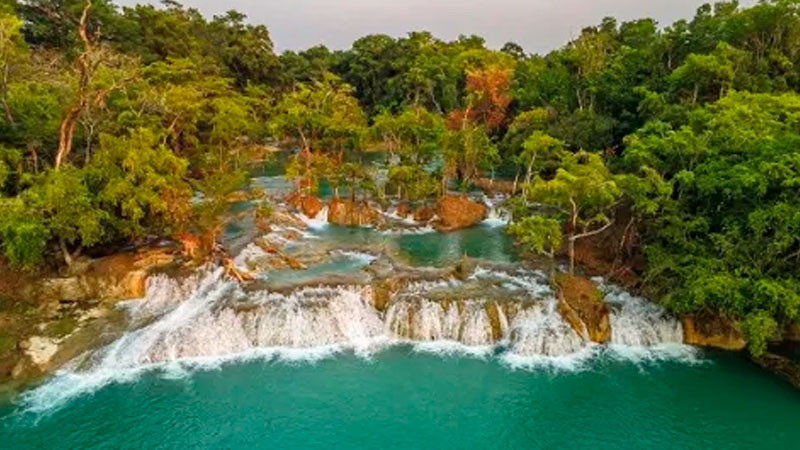 Wanha’, en Tabasco, será la próxima Área Natural Protegida federal